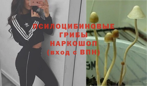 a pvp Нефтегорск