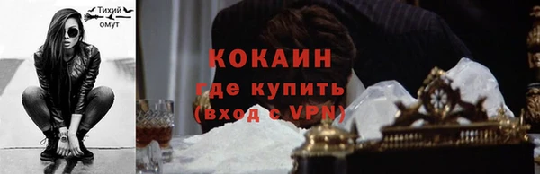прущие грибы Наволоки
