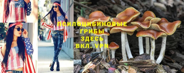 спиды Нефтекумск