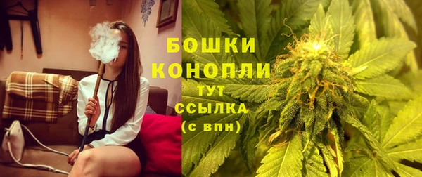 спиды Нефтекумск