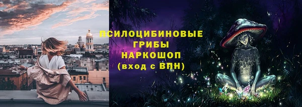 спиды Нефтекумск