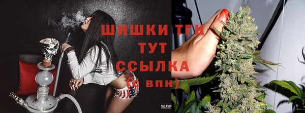 прущая мука Нея
