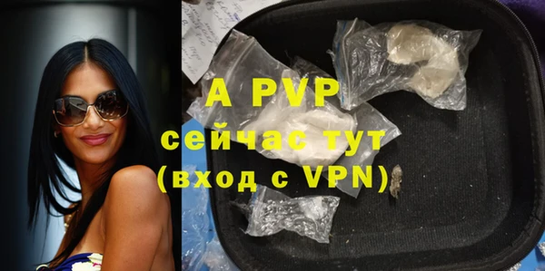 спиды Нефтекумск
