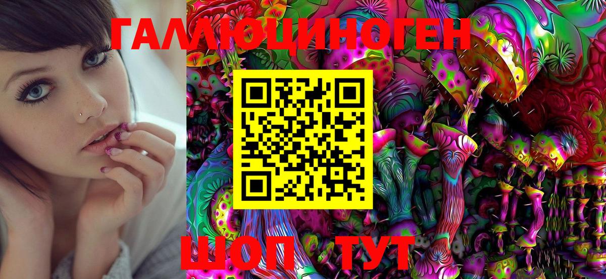 Галлюциногенные грибы Psilocybe Электросталь