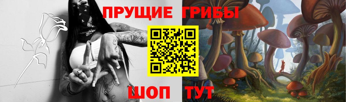 Псилоцибиновые грибы Cubensis  Электросталь  Псилоцибиновые грибы Magic Shrooms 